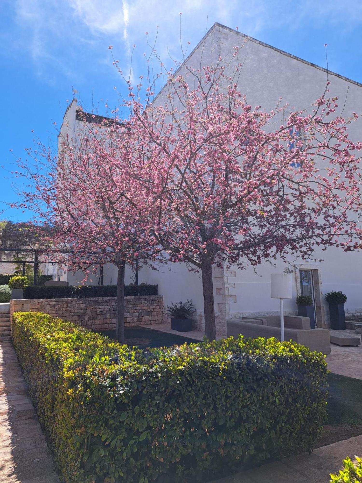Relais Il Santissimo Hotel Turi Luaran gambar